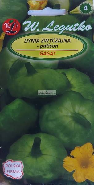 Dynia zwyczajna patison Gagat (2 g)